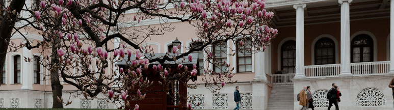 Health Sector Management Consultancy